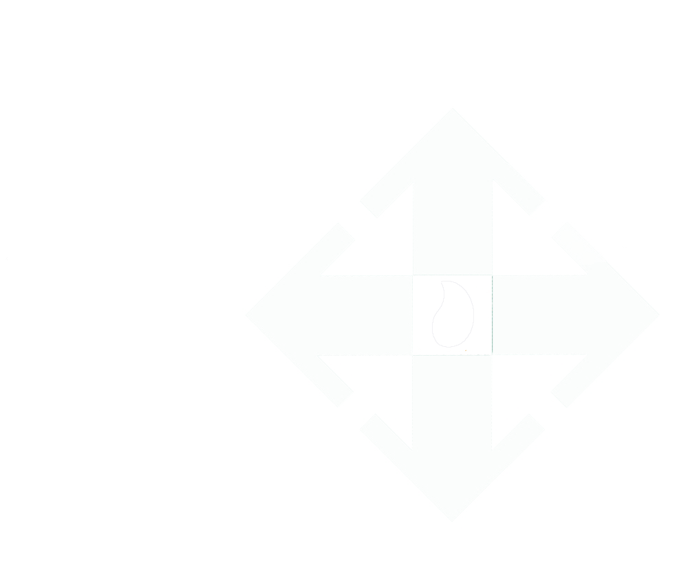 Datis Logo